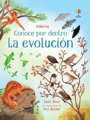 LA EVOLUCIÓN