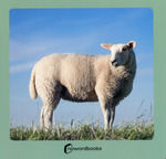 ANIMALES DE LA GRANJA