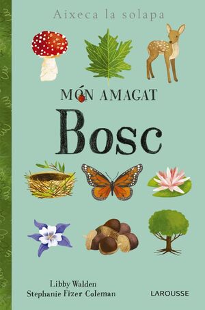 MÓN AMAGAT. BOSC