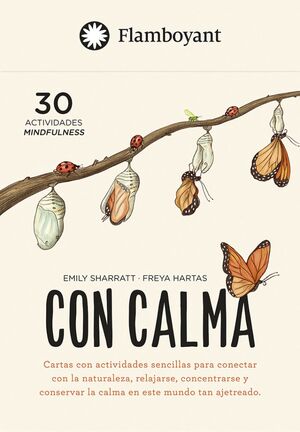 CON CALMA. CARTAS CON ACTIVIDADES