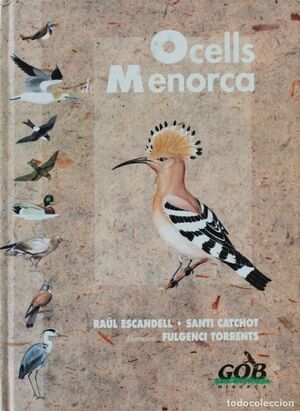 OCELLS MENORCA